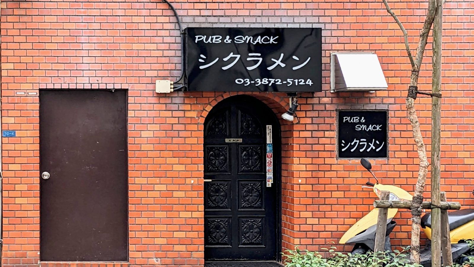 シクラメン 店内写真